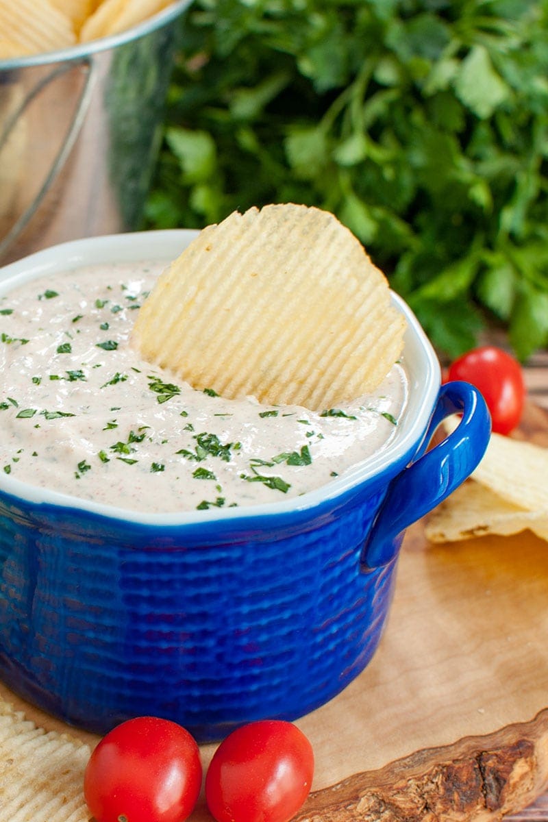 Easy Sour Cream Dip for Chips or Veggies - Dip Recipe Creations
